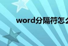word分隔符怎么插（word分隔符）