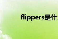 flippers是什么意思（flipper）