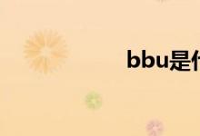 bbu是什么（bbu）