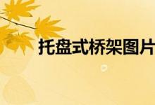 托盘式桥架图片大全（托盘式桥架）
