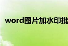 word图片加水印批量（word图片加水印）