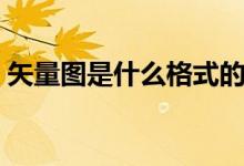 矢量图是什么格式的呢（矢量图是什么格式）