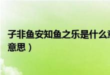 子非鱼安知鱼之乐是什么意思呢（子非鱼 安知鱼之乐是什么意思）
