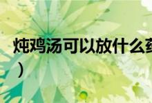 炖鸡汤可以放什么药材（炖鸡汤放什么药材好）