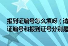 报到证编号怎么填呀（请问 毕业生就业报到证里 那个报到证编号和报到证号分别是哪个）