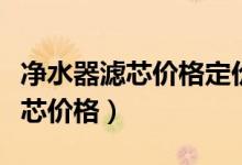 净水器滤芯价格定价依据什么标准（净水器滤芯价格）