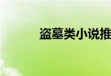 盗墓类小说推荐（盗墓类小说）