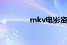 mkv电影资源（mkv电影）