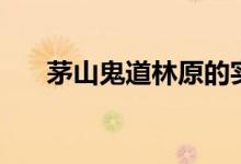茅山鬼道林原的实力（茅山鬼道林原）