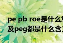 pe pb roe是什么意思（股市中ps pb pe 以及peg都是什么含义）