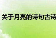 关于月亮的诗句古诗大全（关于月亮的诗句）