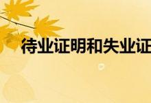 待业证明和失业证明一样吗（待业证明）