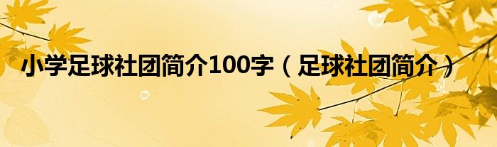 小学足球社团简介100字（足球社团简介）