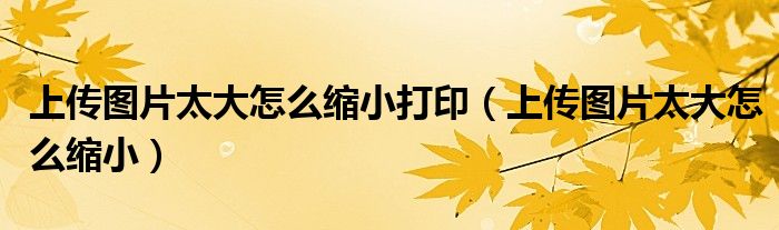 上传图片太大怎么缩小打印（上传图片太大怎么缩小）