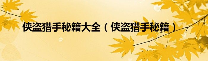 侠盗猎手秘籍大全（侠盗猎手秘籍）