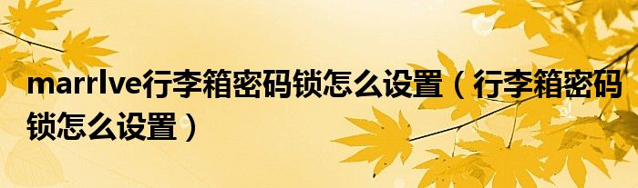 marrlve行李箱密码锁怎么设置（行李箱密码锁怎么设置）