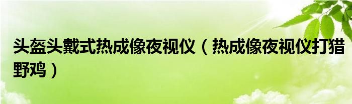 头盔头戴式热成像夜视仪（热成像夜视仪打猎野鸡）