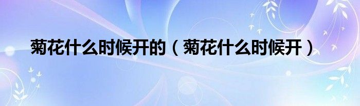 菊花什么时候开的（菊花什么时候开）