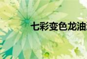 七彩变色龙油漆（七彩变色龙）
