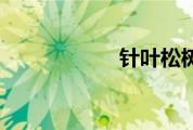 针叶松树（针叶松）