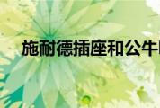 施耐德插座和公牛哪个好（施耐德插座）