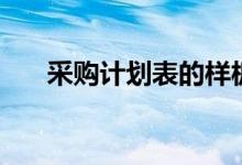 采购计划表的样板（采购计划怎么写）
