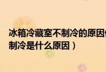 冰箱冷藏室不制冷的原因但冷冻室好的（三星冰箱冷藏室不制冷是什么原因）