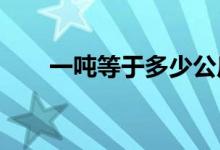 一吨等于多少公斤（7 8 2等于几呢）