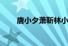 唐小夕萧靳林小说叫什么（唐小夕）