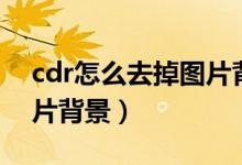 cdr怎么去掉图片背景白色（cdr怎么去掉图片背景）