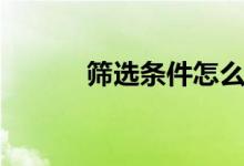 筛选条件怎么设置（筛选条件）