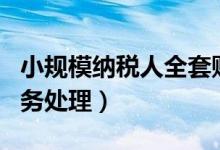 小规模纳税人全套账务处理（小规模纳税3 账务处理）