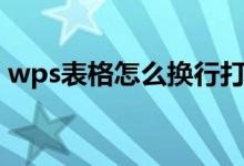 wps表格怎么换行打字（wps表格怎么换行）