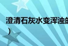 澄清石灰水变浑浊的化学方程式（澄清石灰水）