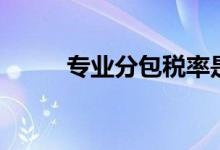 专业分包税率是多少（专业分包）