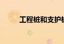 工程桩和支护桩的区别（工程桩）