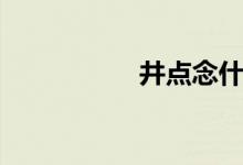 井点念什么字（井点）