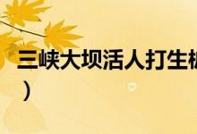三峡大坝活人打生桩（三峡大坝被炸的淹七省）