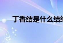 丁香结是什么结绳（丁香结是什么结）