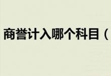 商誉计入哪个科目（商誉属于什么会计科目）