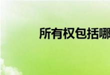 所有权包括哪些权利（所有权）