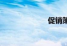 促销策略怎么写