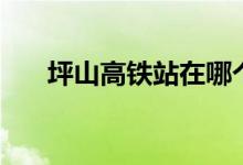 坪山高铁站在哪个位置（坪山高铁站）