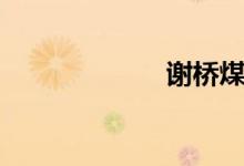 谢桥煤矿（谢桥）