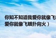 你知不知道我爱你就像飞蛾扑向火什么意思（你知不知道我爱你就像飞蛾扑向火）