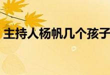 主持人杨帆几个孩子（杨帆主持人老婆照片）