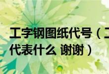 工字钢图纸代号（工字钢在图纸上怎么标注各代表什么 谢谢）