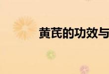 黄芪的功效与主治（芪怎么读）