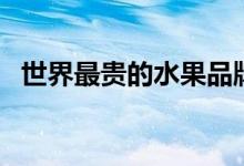 世界最贵的水果品牌（最贵的水果排行榜）