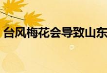 台风梅花会导致山东先旱后涝吗（台风梅花）